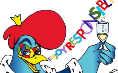Enjoy Responsibly – Divertiti Responsabilmente