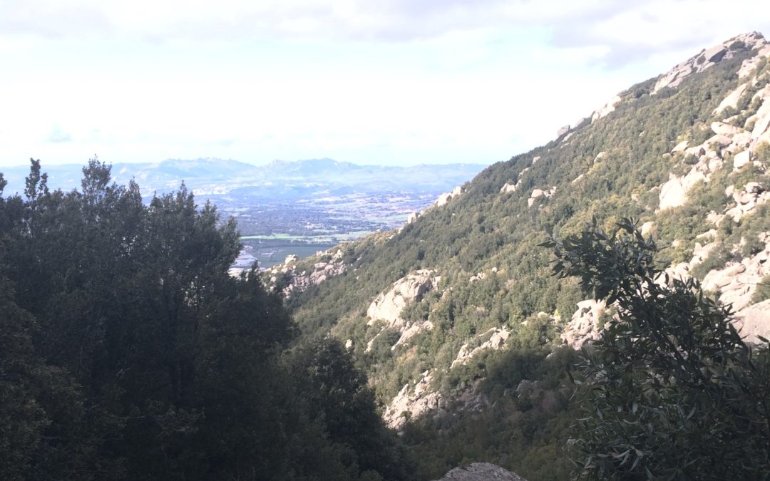 “Pasquetta nei Tesori del Limbara”