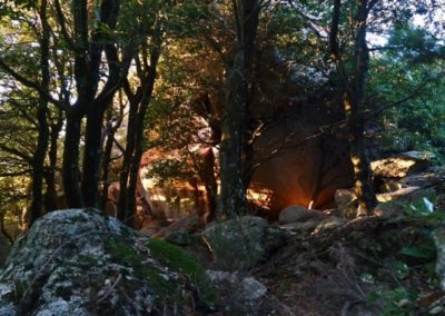 abba-fritta-monte-limbara