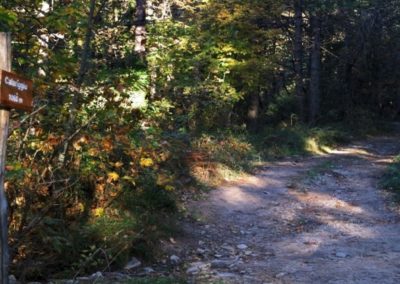 sentiero-calariggiu-limbara