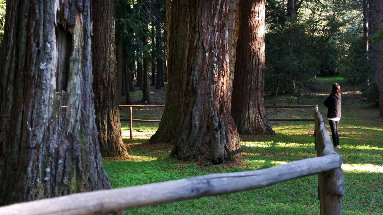 Visit Tempio - Monte Limbara 