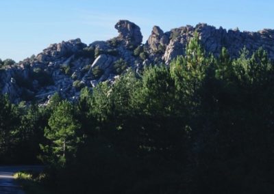 strade-percorsi-monte-limbara