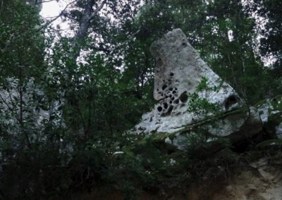 tafoni-monte-limbara