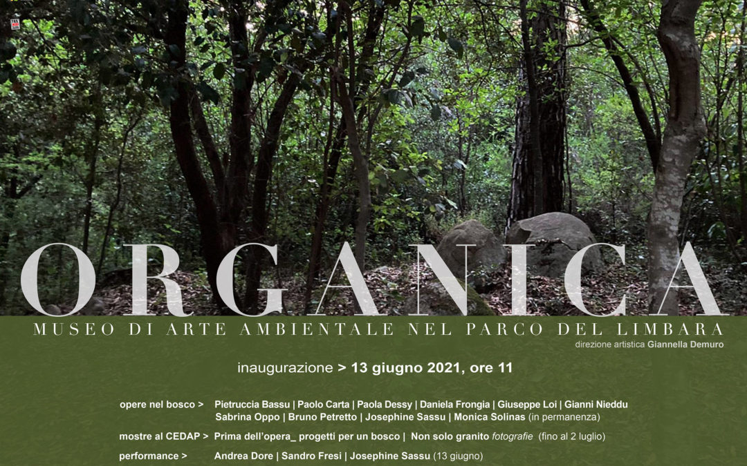 Organica: arte contemporanea ai piedi del Limbara