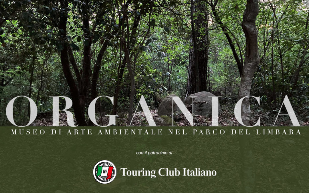 Inaugura con “Mirroring” di Antonello Fresu la seconda edizione della rassegna d’arte”Organica” al CEDAP di Tempio Pausania