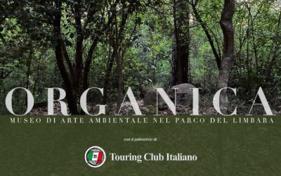 Inaugura con “Mirroring” di Antonello Fresu la seconda edizione della rassegna d’arte”Organica” al CEDAP di Tempio Pausania