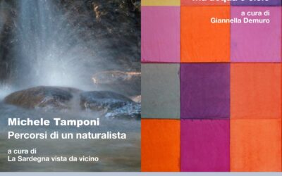 Museo ORGANICA | Le nuove mostre dal 1° ottobre