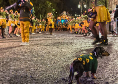 carnevale di tempio pausaniaIMG_9699