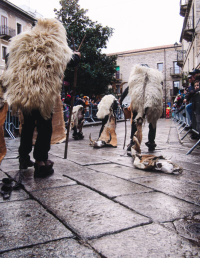 carrasciali timpiesu P1388273