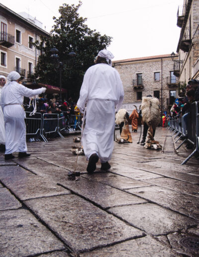 carrasciali timpiesu P1388274