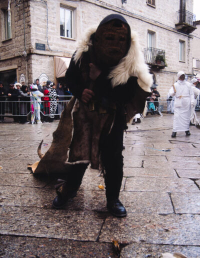 carrasciali timpiesu P1388279