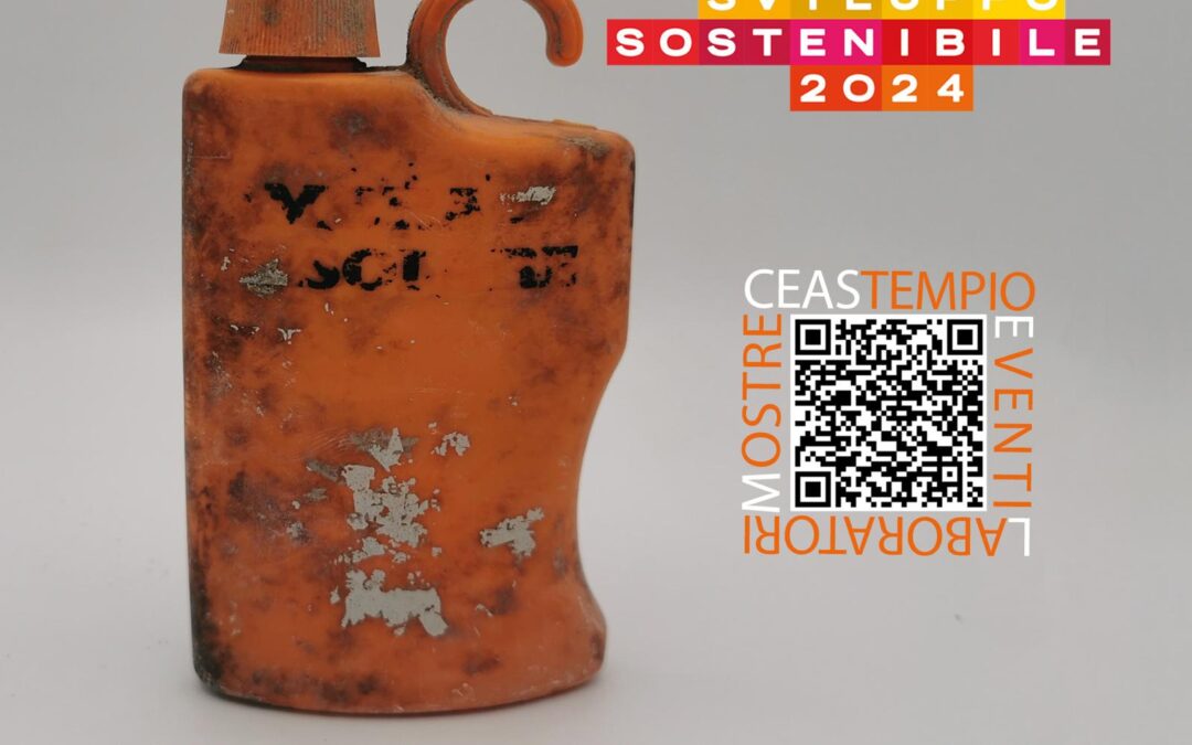 Spazio CEDAP | 8° Festival dello Sviluppo Sostenibile e preview delle mostre di Organica